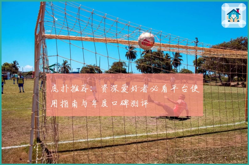 虎扑推荐：资深爱好者必看平台使用指南与年度口碑测评