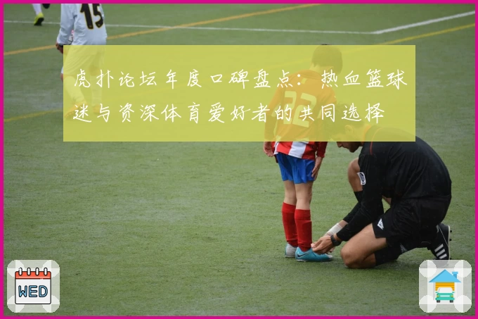 虎扑论坛年度口碑盘点：热血篮球迷与资深体育爱好者的共同选择