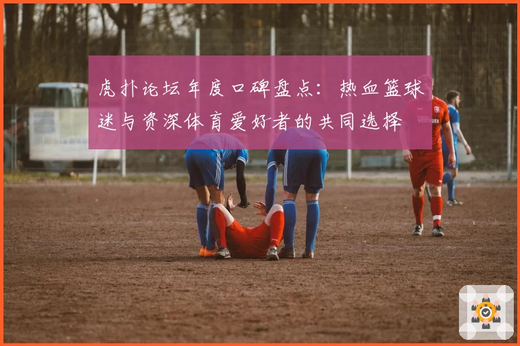 虎扑论坛年度口碑盘点：热血篮球迷与资深体育爱好者的共同选择